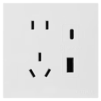 福田 开关插座 大面板家用墙壁插座面板 5孔2位USB10A 单位:个