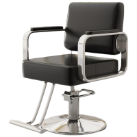 戴劲理发店专用椅子发廊高端美发烫染区升降座椅美发椅子电镀银圆盘-黑色
