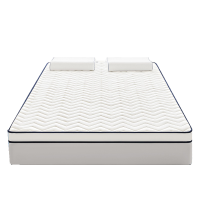 圣承启 家用床垫 1*2m张