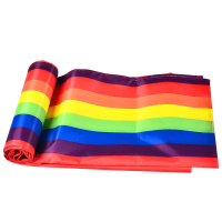 赞属 无敌风火轮车轮滚滚户外团建器材 ZS2567-Y 个