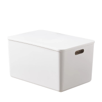 鑫龙悦塑料盒28.6*17.5cm个