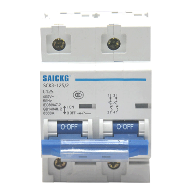 赛驰科技(SAICKG) SCK3-125/2 2P C125低压空气开关 (单位:台)蓝白