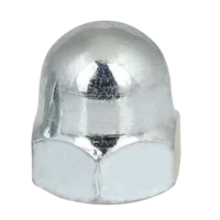 绝顺寰宇 六角盖形螺母 GB/T923 碳钢镀锌4级M10 个