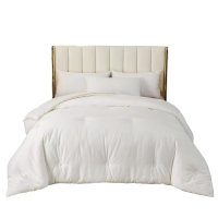 莘爱 大豆纤维冬被 230*200cm 条