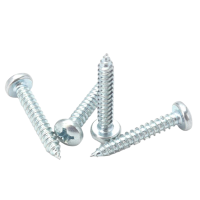 vzi 蓝白锌十字槽盘头自攻螺钉 ST4.8×13(P1.6)(800个) 包