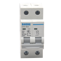 赛驰科技(SAICKG) SCK3-80/2 2P 63A 微型断路器(单位:台)灰白