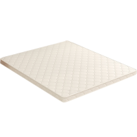 河洛伟业椰棕床垫1.2m张