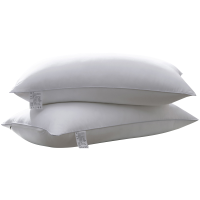 本派 枕芯 48*74cm