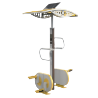 晨洋体育(ChenyangTY) 双位智能联动式侧旋机 CYTY-162 个