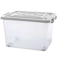 蕃蒂储物箱100#个