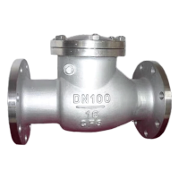 鑫睿辉 不锈钢单向阀 DN100 个