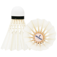 何大屋(Hodtown) S500 羽毛球 耐打比赛训练球 飞行稳定羽毛球 12只装