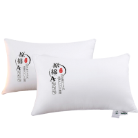 亿洛莱 羽丝枕 48*74cm 只