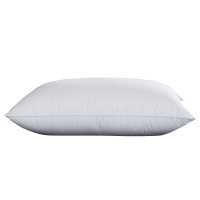 欧梦澜 枕芯 68x42cm 个