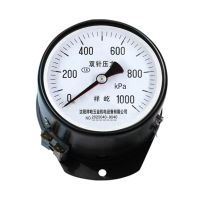 祥屹 双针双管压力表 YYS-JY-100Z 24V轴向 台