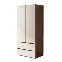 铭思达衣柜两门台