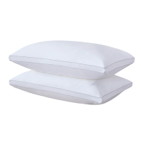 荺炬枕头48*74cm/只