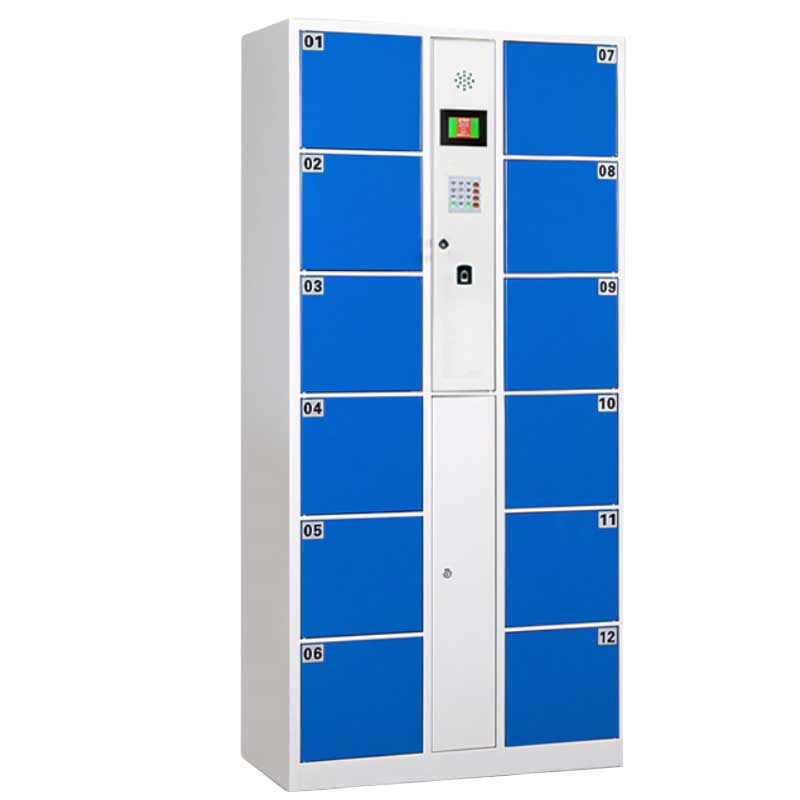 铭思达智能存包柜12门指纹锁台