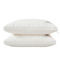 亿洛莱 枕头 48*74cm 只