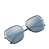 海俪恩 偏光太阳镜女新品墨镜大脸显瘦网红专用驾驶镜6621