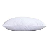 欧梦澜 2个装 枕头枕芯家用护颈枕 450*750 对