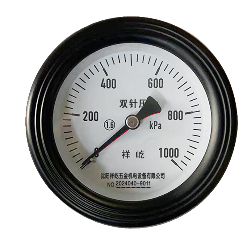 祥屹 双针双管压力表24V轴向 YYS100Z 个