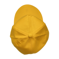 晋涵 小黄帽 J9698/个