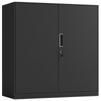 班龙铁皮储物柜双门台