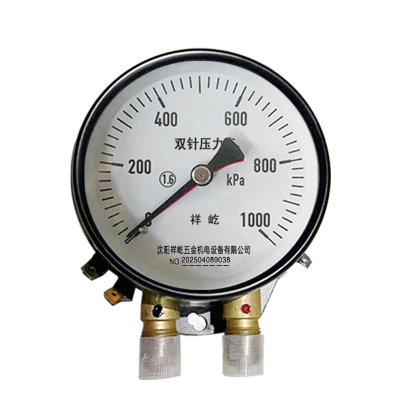 祥屹 双针压力表 带灯24V YZS102 块