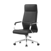 电脑椅 老板椅 办公椅DNY024/把