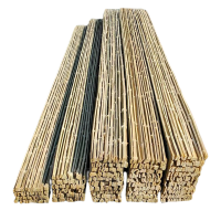 区南 竹踏板 竹架板竹跳板 200*2900mm 个