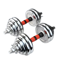 探仕狼 哑铃健身家用套装纯铁电镀杠铃可调节重量一对 电镀银色 10KG 5kg2