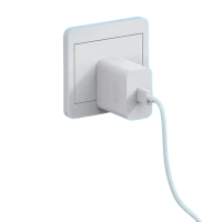 雷森旭 手机充电器120W/66W超级快充手机充电器