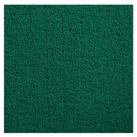 杜晶 DJ-DD-809 塑料丝圈脚垫 pvc塑料入户门口电梯酒店迎宾防滑丝圈地板革