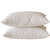 璎蕙枕芯48*74cm 个