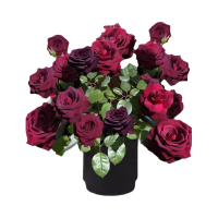 疆不凡 黑玫瑰黑巴克