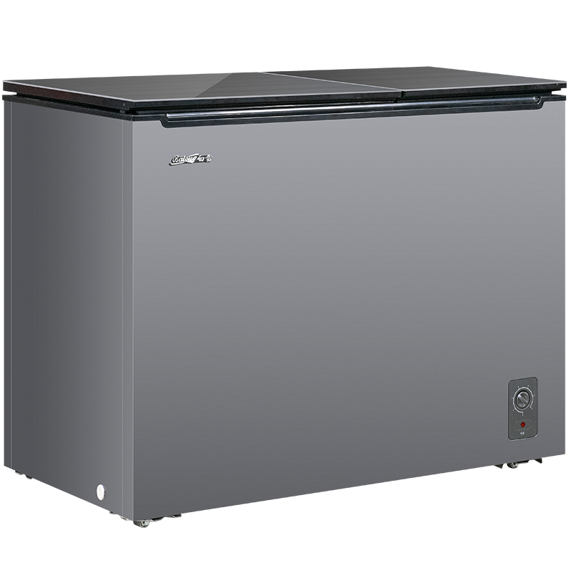 白雪(Baixue)BDX-222KH 222升 冰柜 双温卧式冷柜 冷藏冷冻双间室冷柜