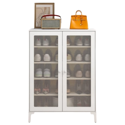 力拓星 钢制鞋柜 玄关柜 双门 个