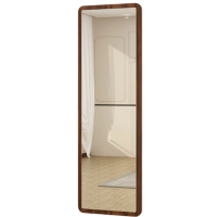 班龙穿衣镜60*2*160cm个