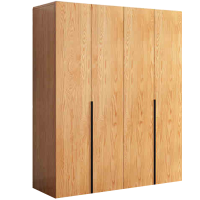 筑亮 衣柜 160*50*200cm 台