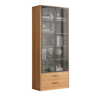 鑫龙都书柜二门 台