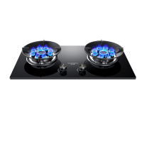 创维(Skyworth)Z211B天然气双灶家用 5.2kW猛火九孔聚能定时灶爆炒鸳鸯灶具 台式嵌入式灶台