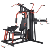 韦步WB5100三人站综合力量训练器械家用单双杠蹬腿多功能组合机