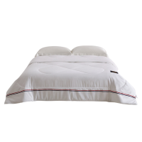 伊伊爱 经典线条磨毛春秋被