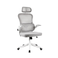 星伟卓 电脑椅 55*55*120cm把