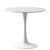 伟樽洽谈桌600*600*750mm张