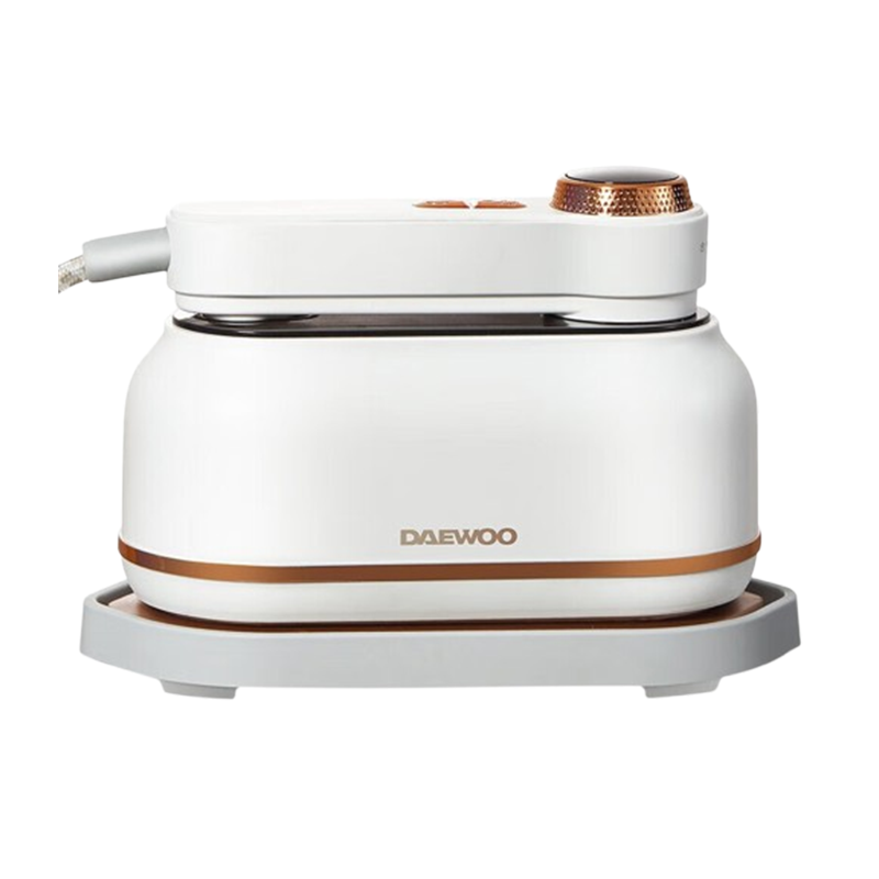 大宇电熨斗小型便携式家用差旅手持式蒸汽电熨斗流苏白DYGT-1320