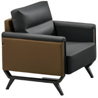 首指(SZ)办公沙发/2213-2