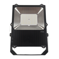 宝富睿光电 BFL3090-50 220V 50W IP66 LED泛光灯 (计量单位:个) 黑色