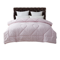 恒源祥家纺 莉丽 HYX047BZ 200*230 标准双人被 一张装